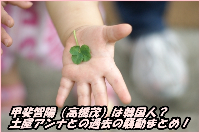 甲斐智陽(高橋茂)は韓国人?土屋アンナとの過去の騒動まとめ!